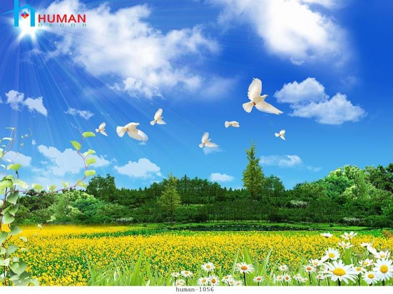tranh dan tuong can tho human 1056 - Nội Thất Cần Thơ