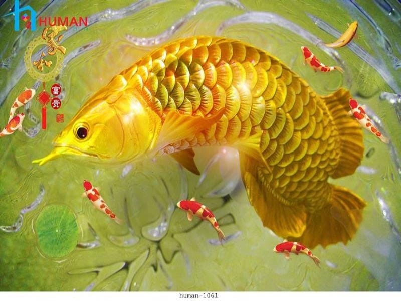 tranh dan tuong can tho human 1061 - Nội Thất Cần Thơ