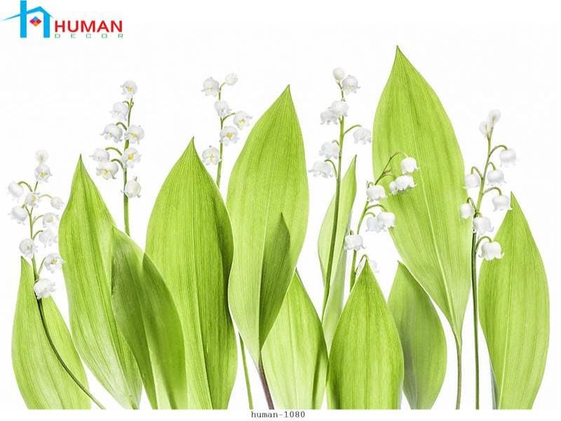 tranh dan tuong can tho human 1080 - Nội Thất Cần Thơ