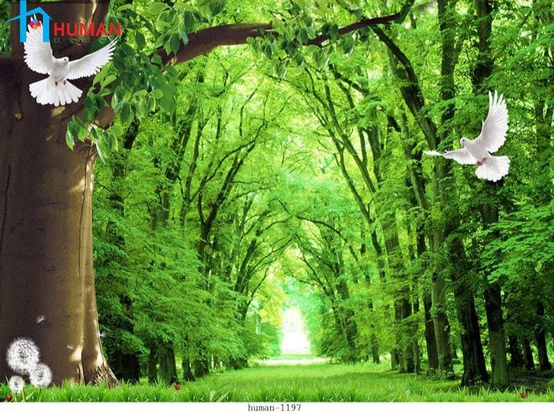 tranh dan tuong can tho human 1197 - Nội Thất Cần Thơ