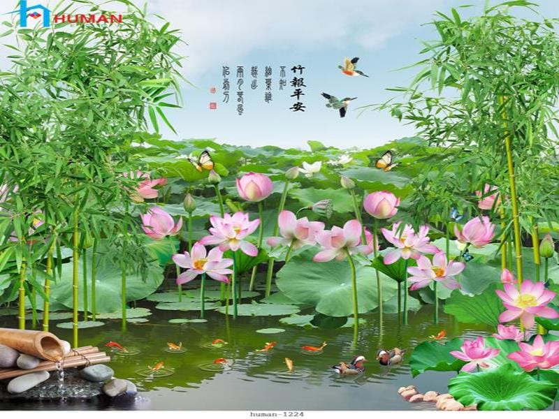 tranh dan tuong can tho human 1224 - Nội Thất Cần Thơ