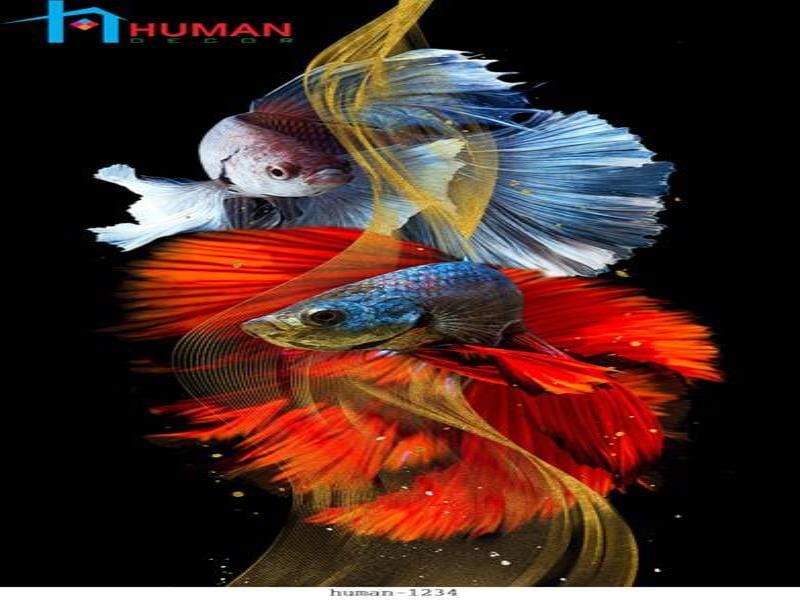 tranh dan tuong can tho human 1234 - Nội Thất Cần Thơ
