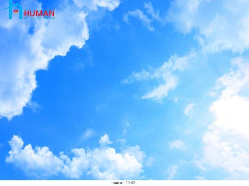 tranh dan tuong can tho human 1242 - Nội Thất Cần Thơ