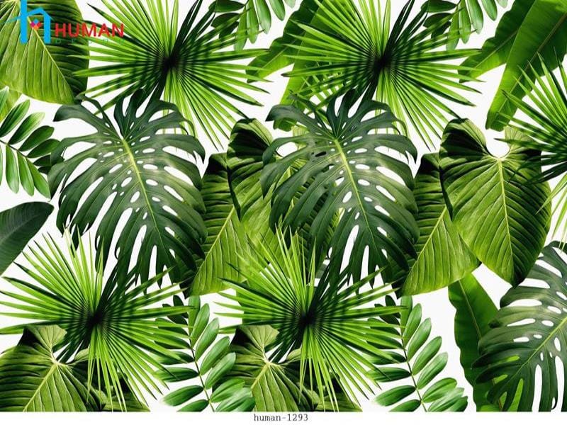 tranh dan tuong can tho human 1293 - Nội Thất Cần Thơ