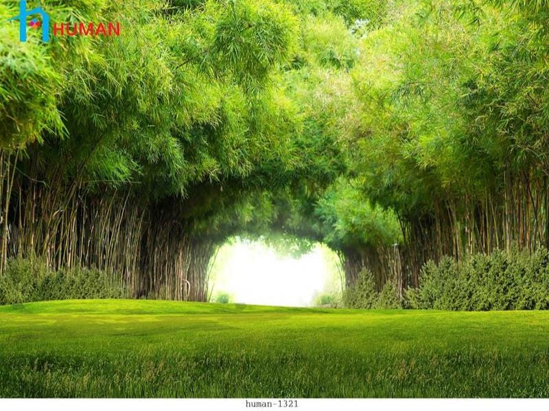 tranh dan tuong can tho human 1321 - Nội Thất Cần Thơ