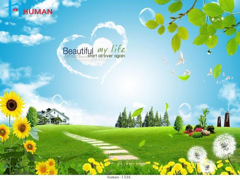 tranh dan tuong can tho human 1326 - Nội Thất Cần Thơ