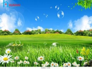 Tranh dán tường phong cảnh 008