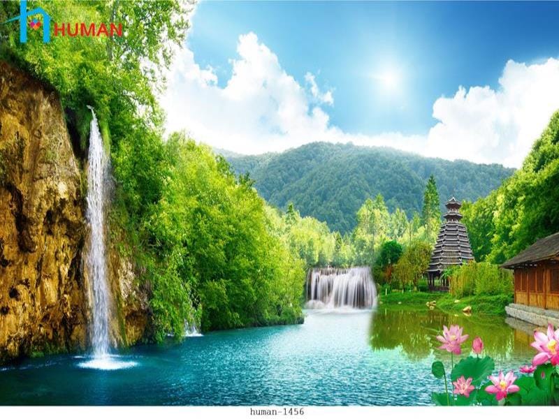tranh dan tuong can tho human 1456 - Nội Thất Cần Thơ