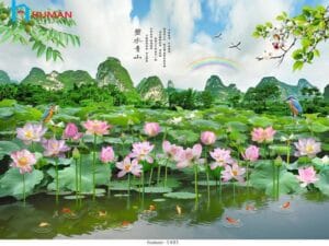 Tranh dán tường Cần Thơ hoa sen