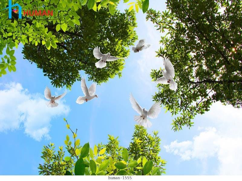 tranh dan tuong can tho human 1555 - Nội Thất Cần Thơ
