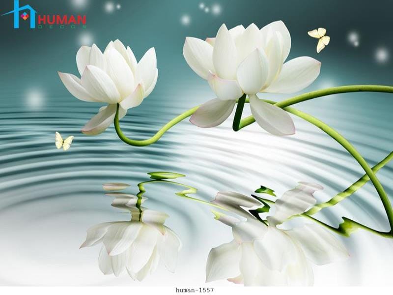 tranh dan tuong can tho human 1557 - Nội Thất Cần Thơ