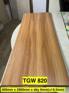 Tấm ốp Nano 400 TGW820