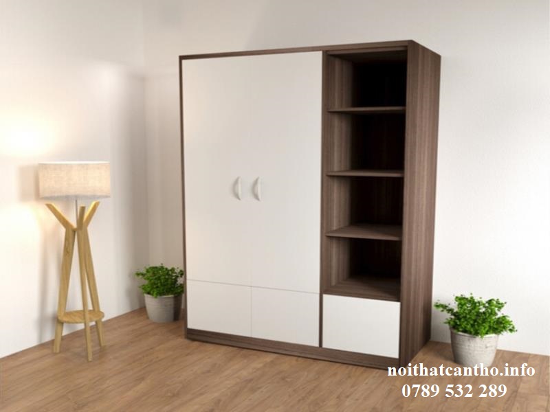 Tủ quần áo Cần Thơ 2 cánh 006
