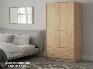 Tủ quần áo Cần Thơ 2 cánh 002