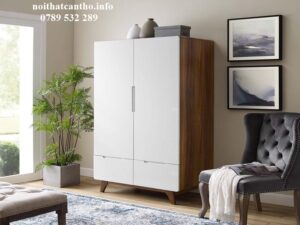 Tủ quần áo Cần Thơ 2 cánh 002