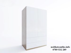 Tủ quần áo Cần Thơ 2 cánh 001