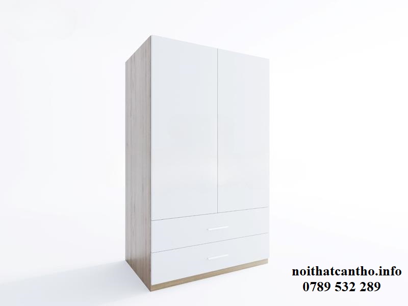 Tủ quần áo Cần Thơ 2 cánh 001