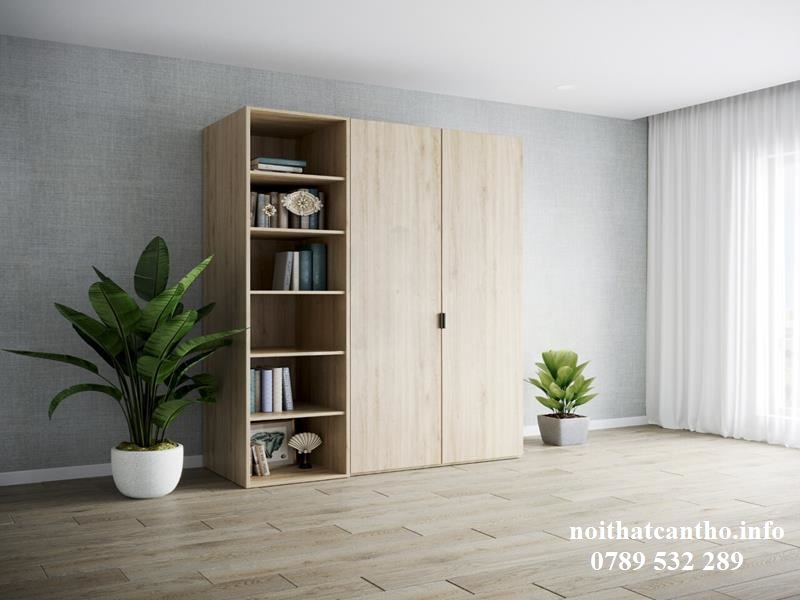 Tủ quần áo Cần Thơ 2 cánh 004
